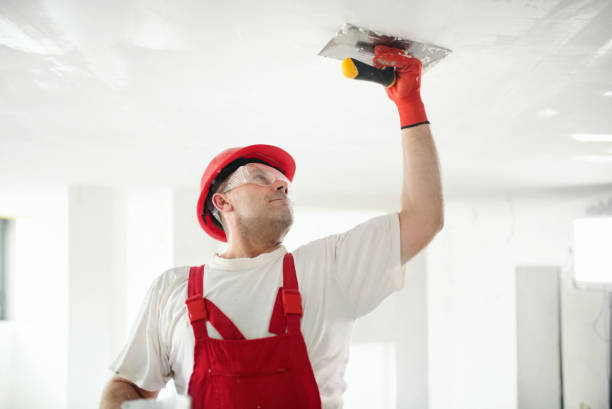 Best Remodeling Drywall Solutions  in USA