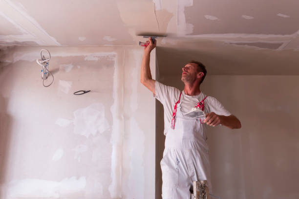 Best New Construction Drywall Services  in USA